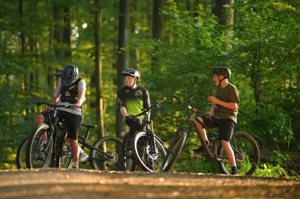 Drei Biker im Wald